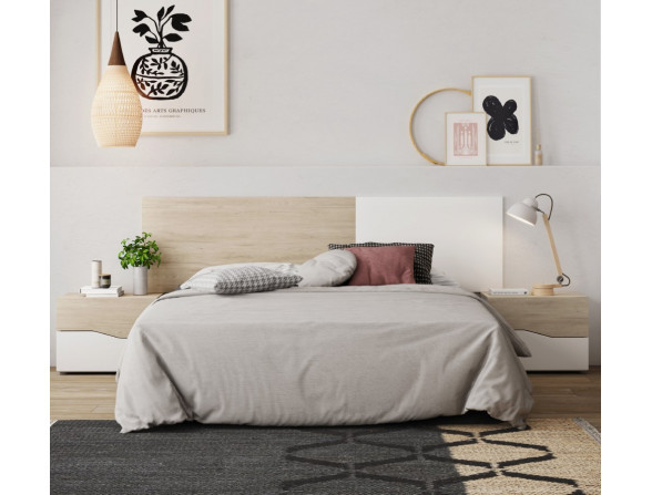 Cabeça e duas tabelas NIZA STAR