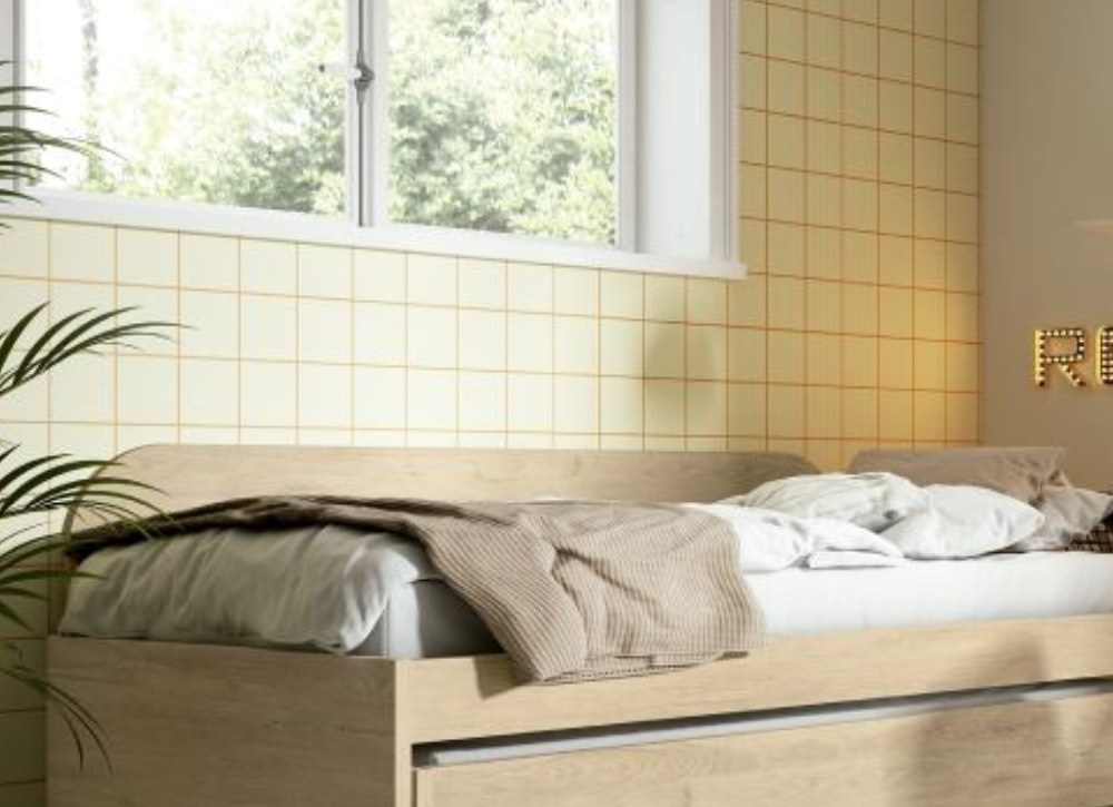 Respaldo para nidos y compactos CLEO