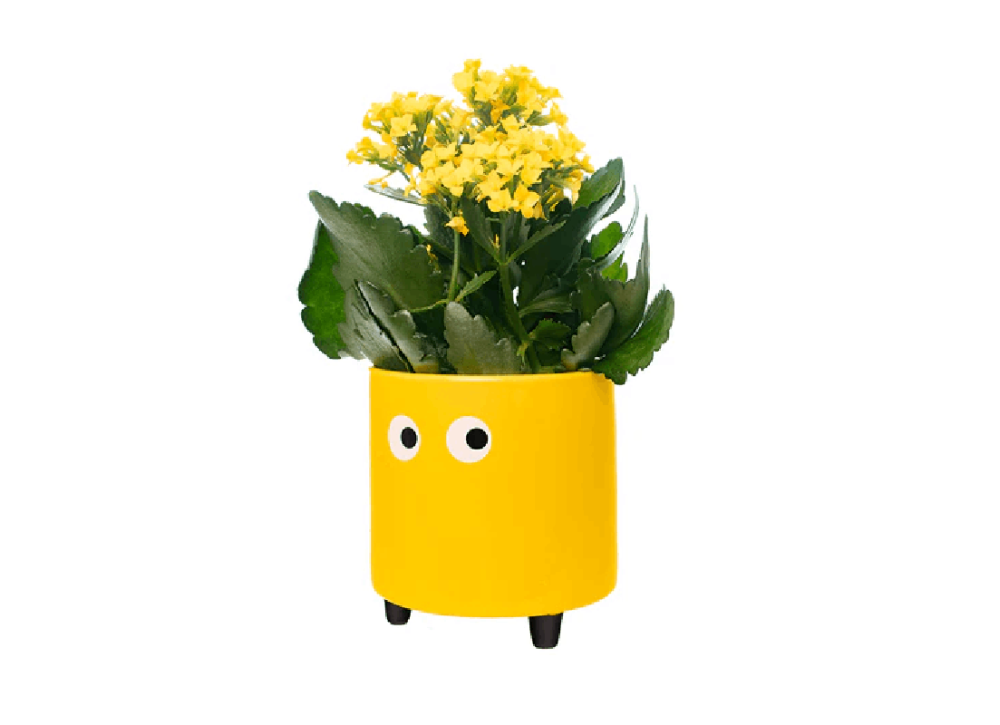 Maceteros con ojos TAMPERE