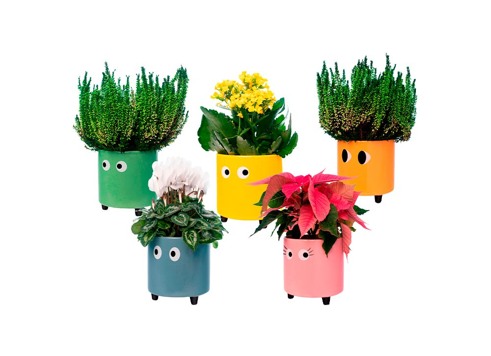 Maceteros com olhos TAMPERE