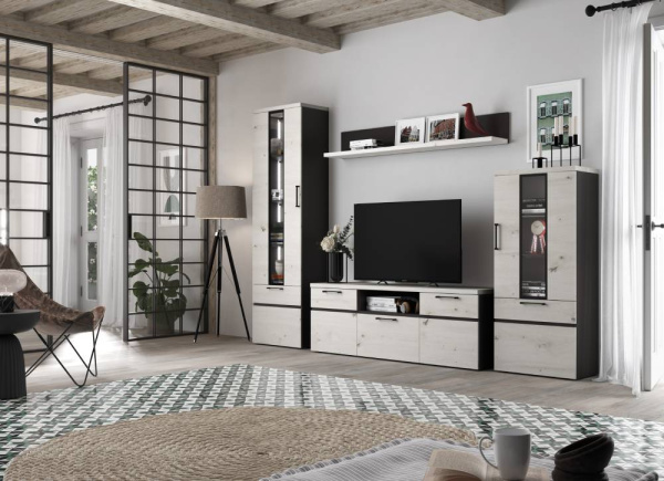 Librería de salón ERANDIO