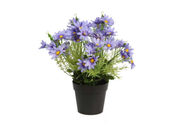 Maceta margaritas artificiales SERENO