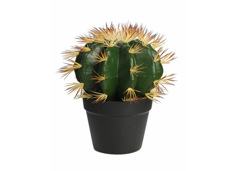 Vaso com cacto artificial ÍMPETU