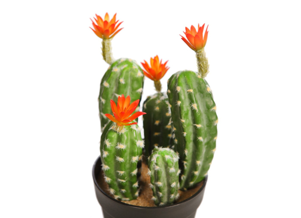 Maceta cactus con flor artificial CARIMBO