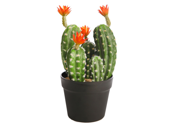 Maceta cactus con flor artificial CARIMBO
