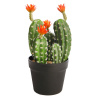 Maceta cactus artificial VENTISCA