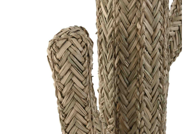 Decoração Cacto VAKO