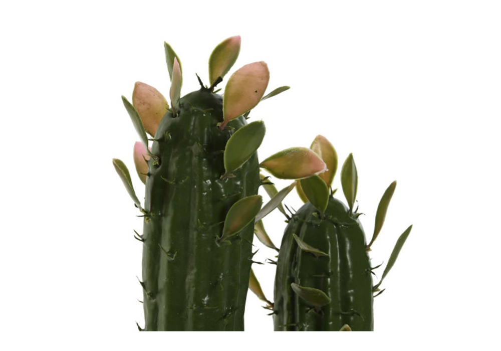 Cactus artificial LURA