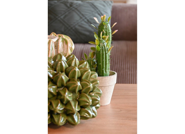 Cactus artificial LURA