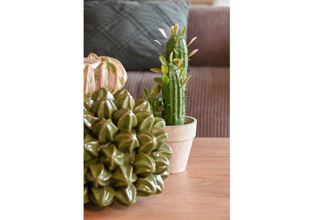 Cactus artificial LURA