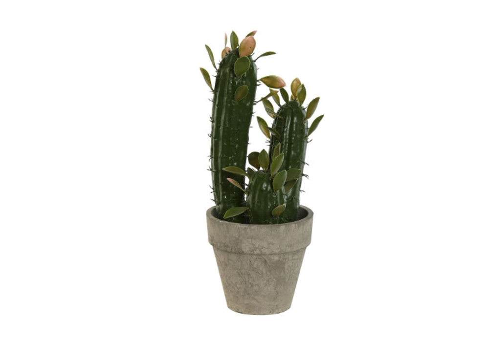 Cactus artificial LURA