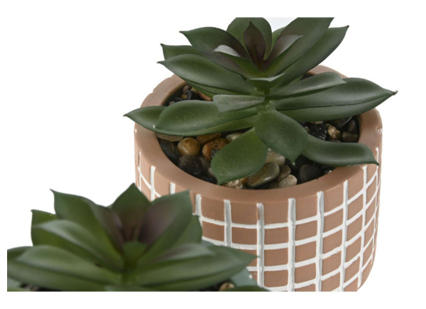 Macetero con planta KIRAO