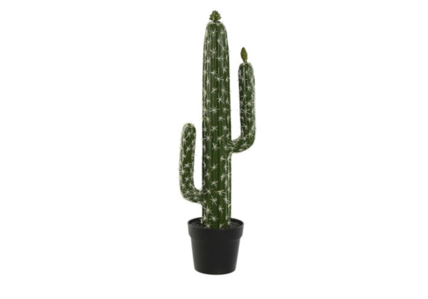 Cactus artificial KLON