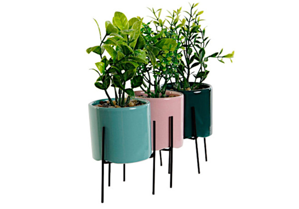 Macetero de colores con planta KORO