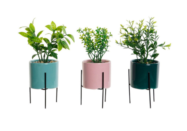 Macetero de colores con planta KORO