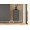 Sinfonier com 5 gavetas URBANBOX