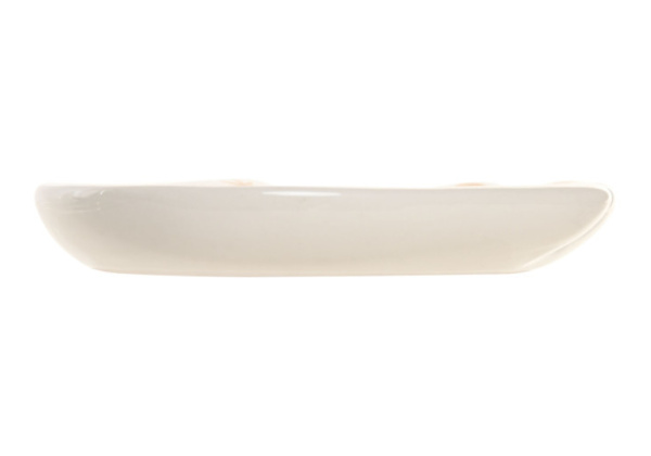 cópia da bandeja de vácio cerâmica de aves