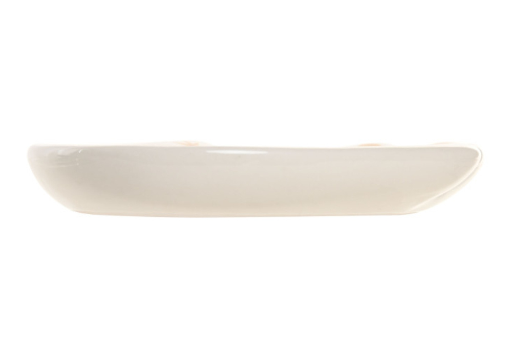 cópia da bandeja de vácio cerâmica de aves