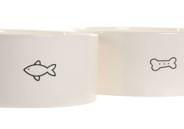 cópia do animal de estimação com almofada de Togo cópia do animal de estimação com almofada de Togo