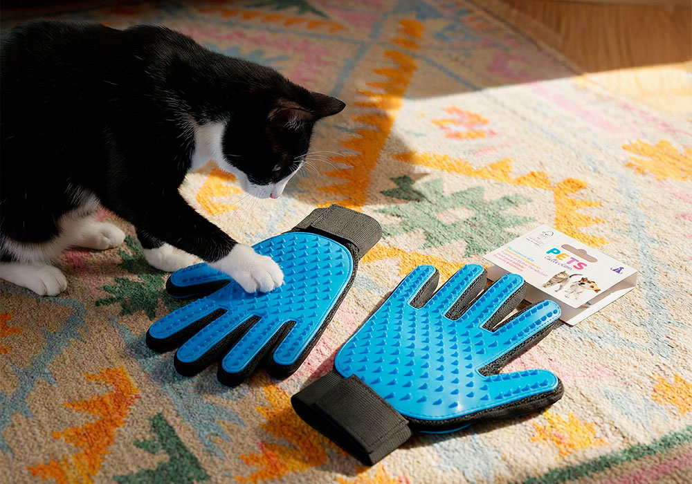 cópia do brinquedo para cães nao