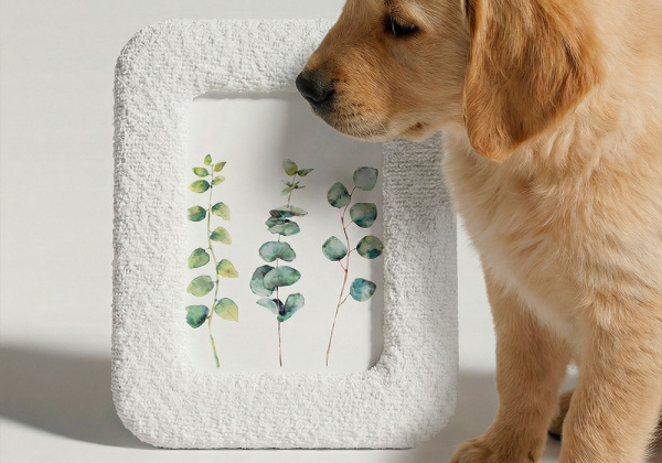 Marco para fotos de 13x18 cm PUM detalle