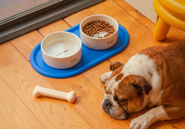 Tigela cerâmica para pets GURI Tigela cerâmica para pets GURI