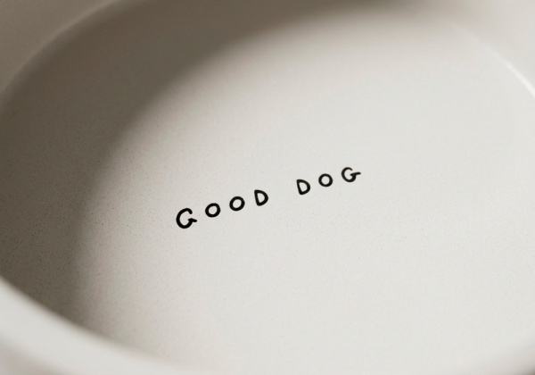 Bol cerámica para mascotas GURI