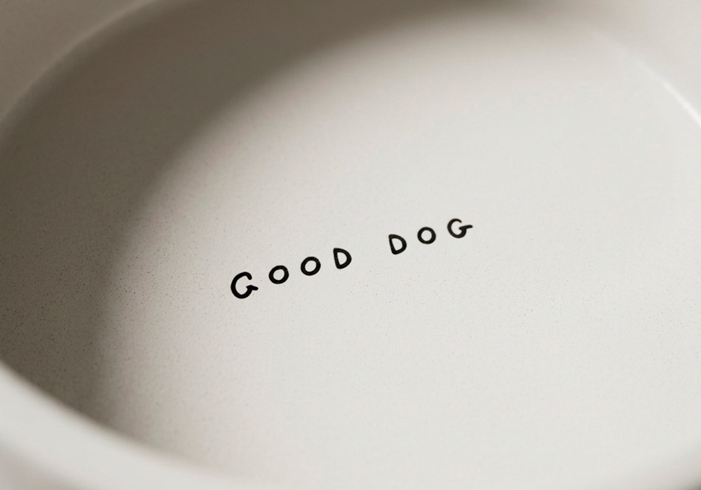 Bol cerámica para mascotas GURI