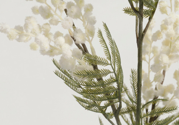 Rama mimosa CORA blanco detalle