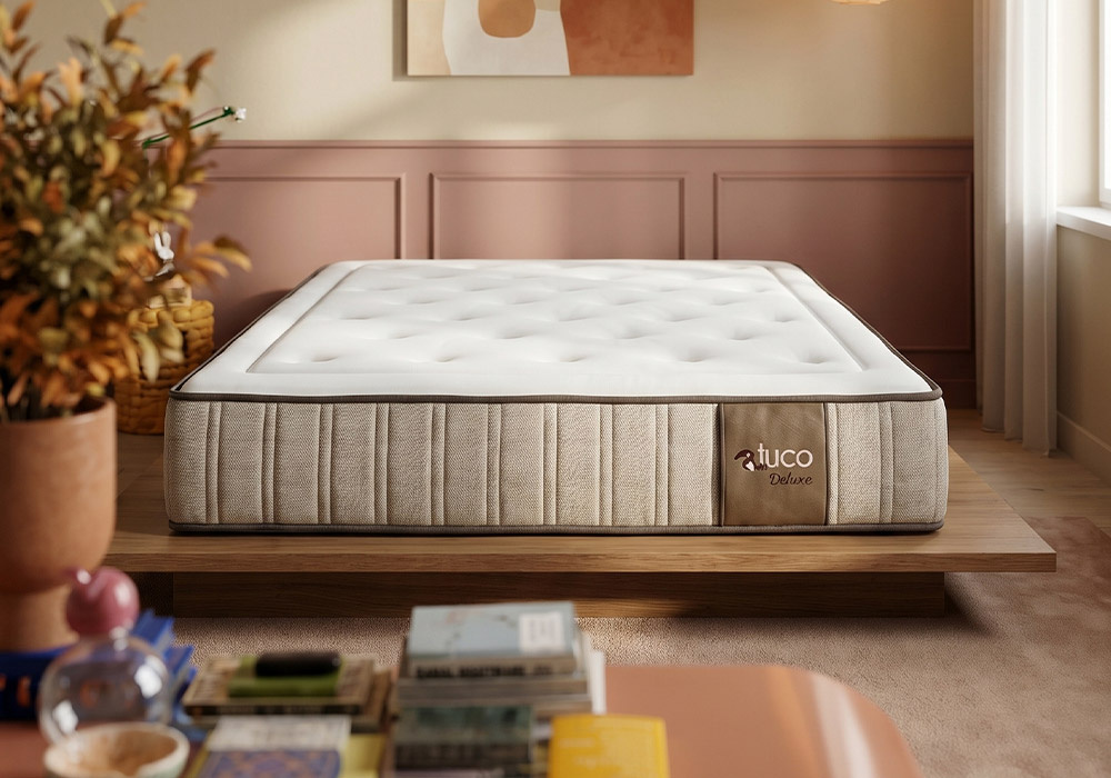 Colchón de muelle ensacado y viscoelástica DALIA-decorada1