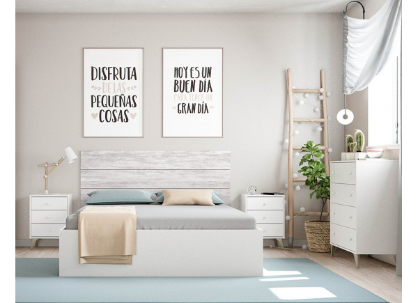 Quatro caixotes confortáveis ANTER