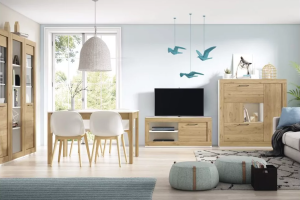 vista de salón completamente decorado con mueble tv