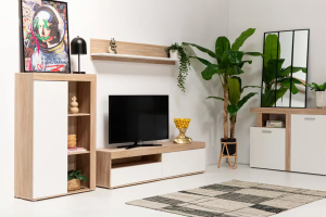 vista de salón completo, con mueble tv, plantas de decoración, completamente amueblado y decorado 