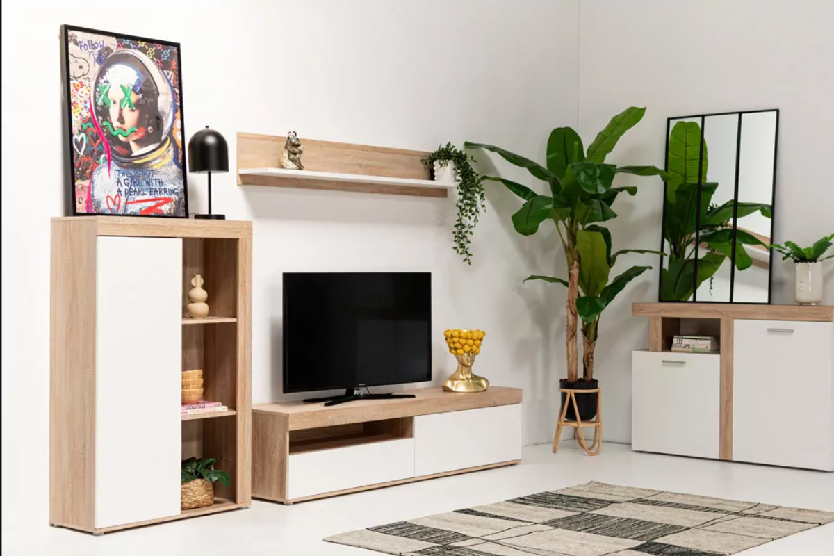 Vista de salón completo, con mueble tv, estantería y decorado con cuadros y plantas