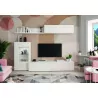 MUEBLE PARA SALON FUTURE V MUEBLE PARA SALON FUTURE V
