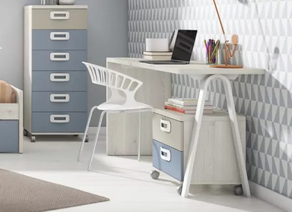 Cajonera 2 cajones con ruedas CLEO