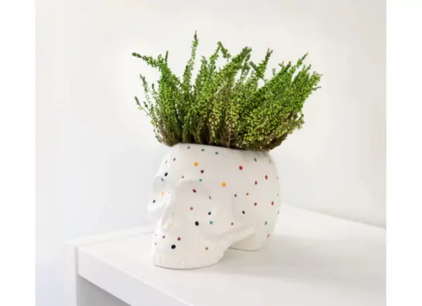 Crânio Macetero com luas LUNI