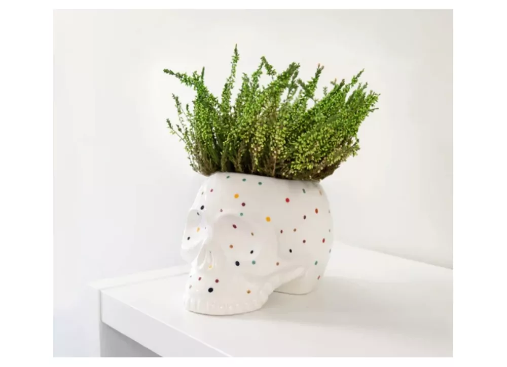 Crânio Macetero com luas LUNI