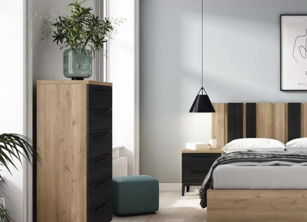 SINFONIER 6 CAJONES ORLANDO 2