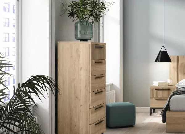 SINFONIER 6 CAJONES ORLANDO 2