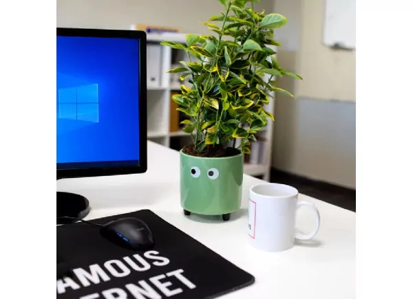 Maceteros con ojos TAMPERE Maceteros con ojos TAMPERE