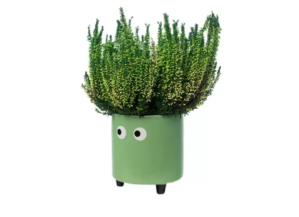 Maceteros con ojos TAMPERE Maceteros con ojos TAMPERE