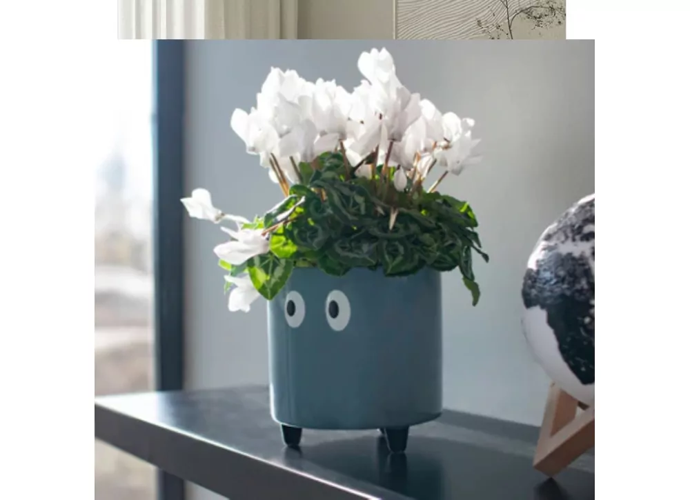 Maceteros con ojos TAMPERE Maceteros con ojos TAMPERE