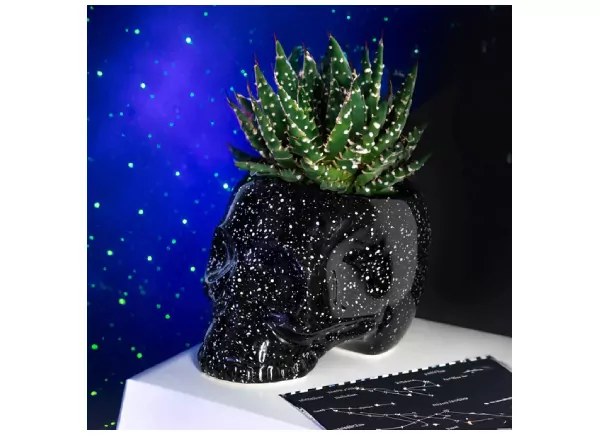 Macetero calavera estilo galaxia LUNI