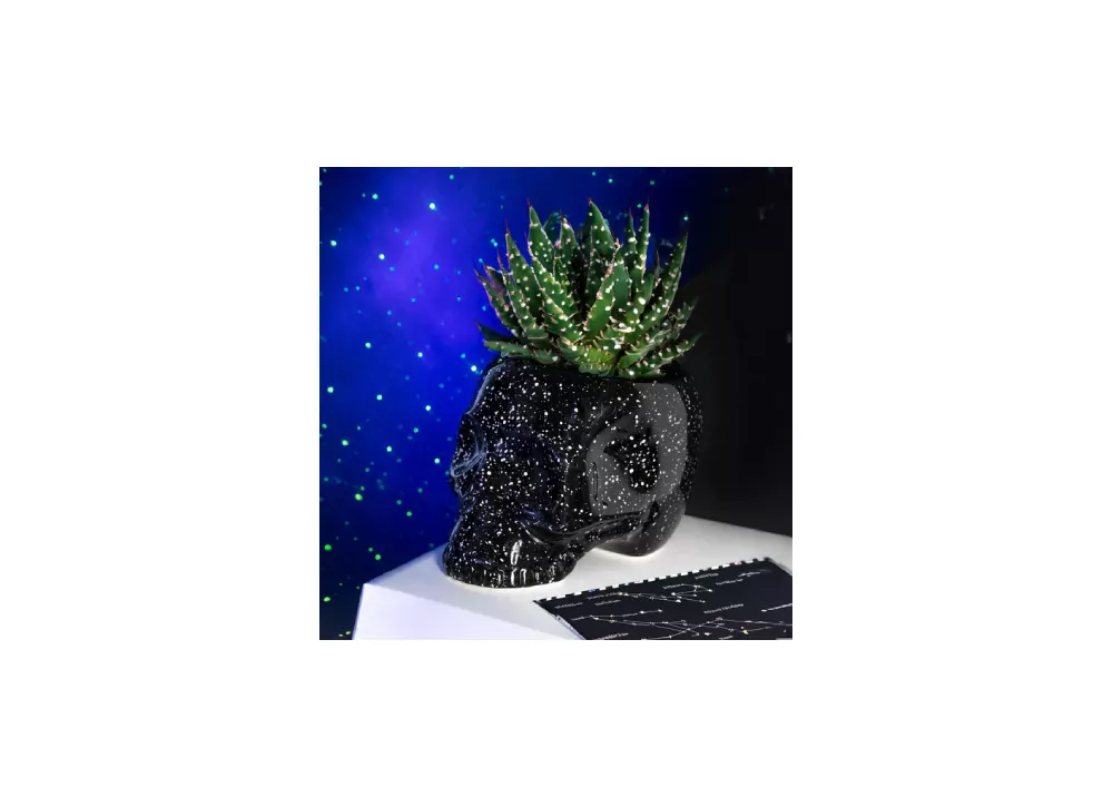 Macetero calavera estilo galaxia LUNI