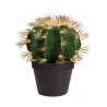 Maceta cactus artificial VENTISCA Maceta cactus artificial VENTISCA