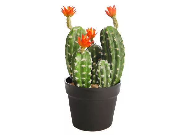 Maceta cactus con flor artificial CARIMBO