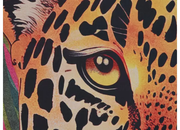 Leopardo Velvet Leopardo Velvet