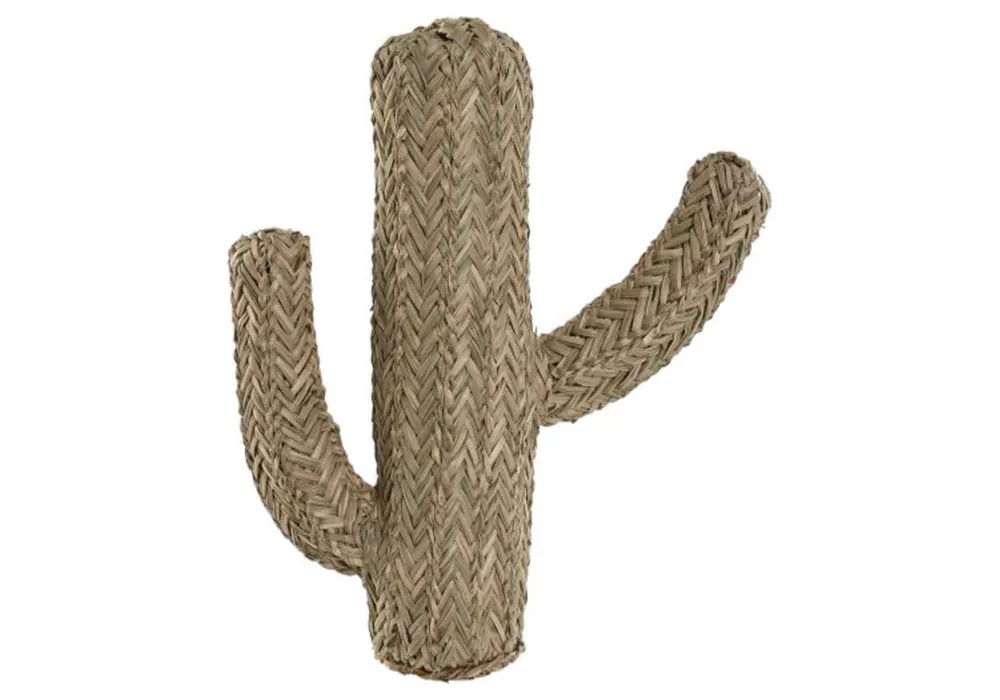 Decoração Cacto VAKO Decoração Cacto VAKO