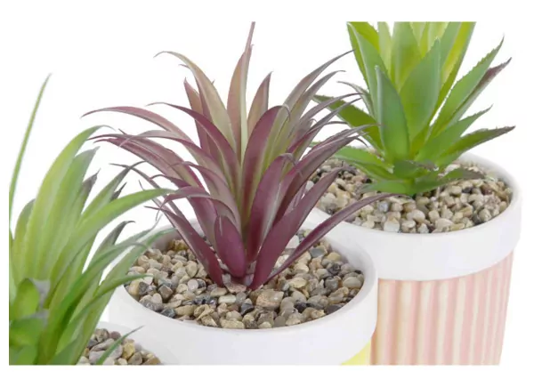 Planta Gres LAXO Planta Gres LAXO